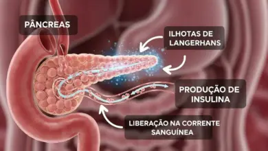 Papel da insulina no seu corpo